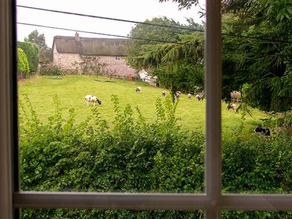 The Old Smithy Villa Bridport Exterior photo
